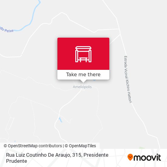 Mapa Rua Luiz Coutinho De Araujo, 315