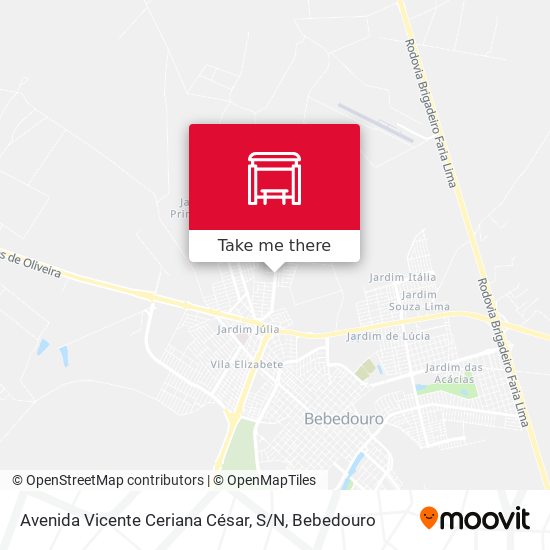 Avenida Vicente Ceriana César, S / N map