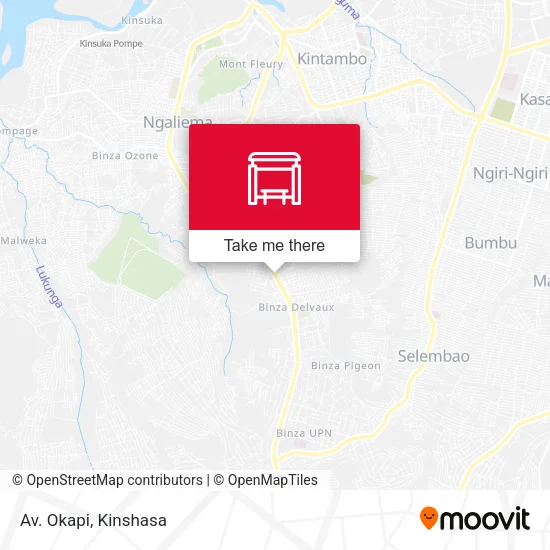 Av. Okapi map