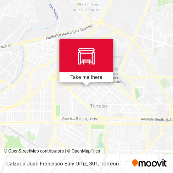 Mapa de Calzada Juan Francisco Ealy Ortiz, 301