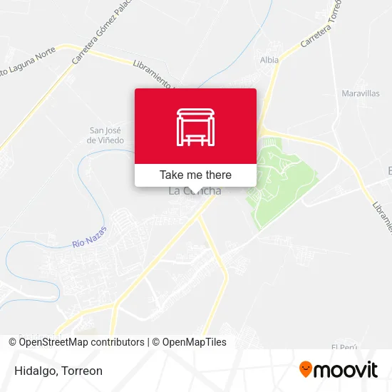 Hidalgo map
