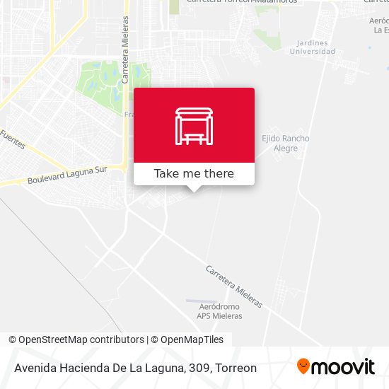 Avenida Hacienda De La Laguna, 309 map