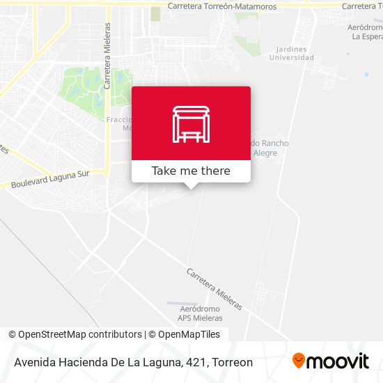 Avenida Hacienda De La Laguna, 421 map