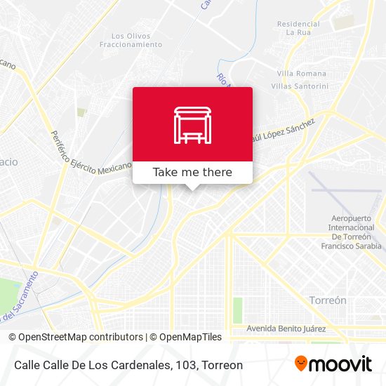 Calle Calle De Los Cardenales, 103 map