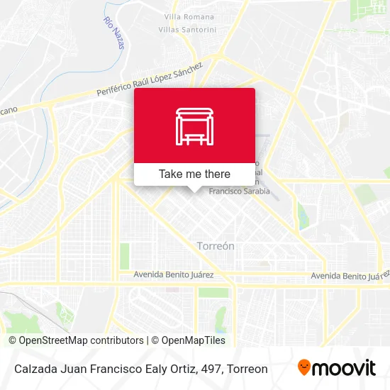 Mapa de Calzada Juan Francisco Ealy Ortiz, 497
