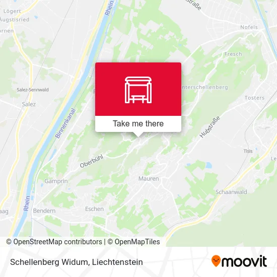 Schellenberg Widum map