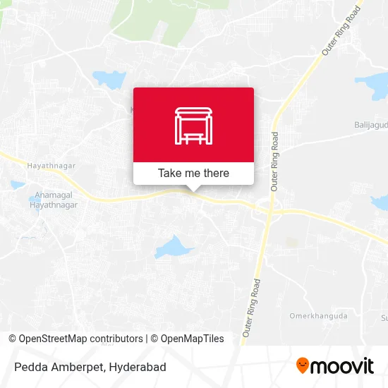 Pedda Amberpet map