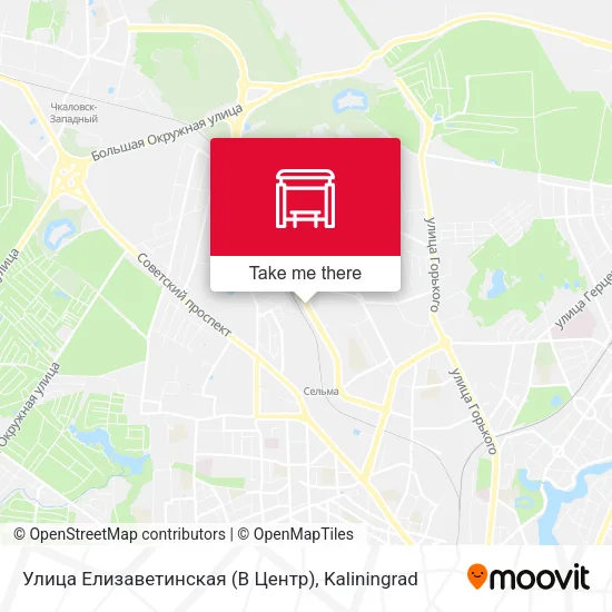 Улица Елизаветинская (В Центр) map