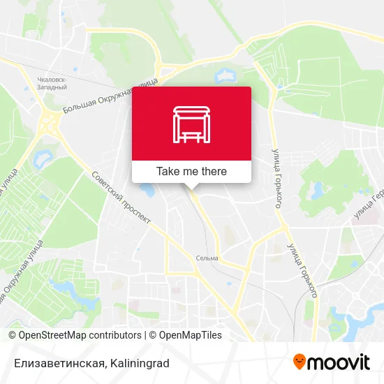 Елизаветинская map