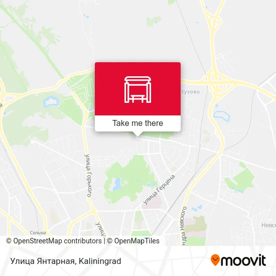 Улица Янтарная map