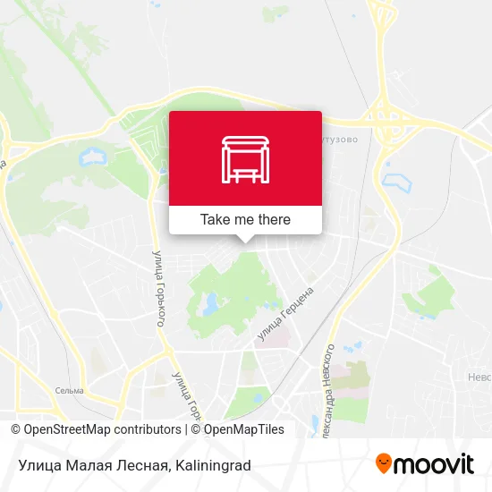 Улица Малая Лесная map