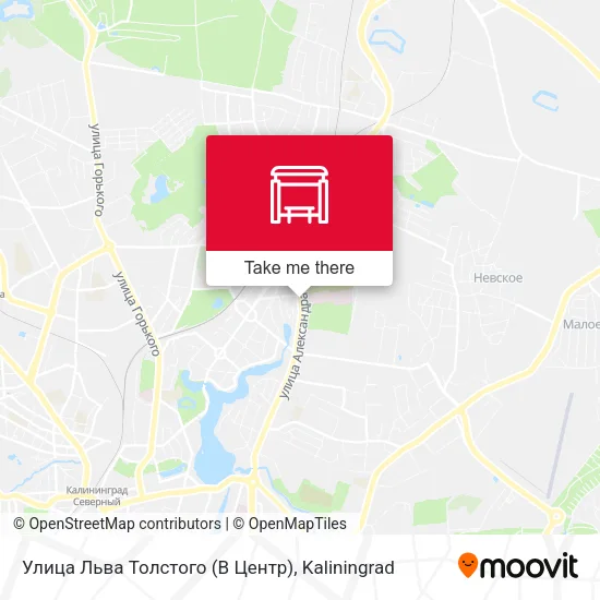 Улица Льва Толстого (В Центр) map