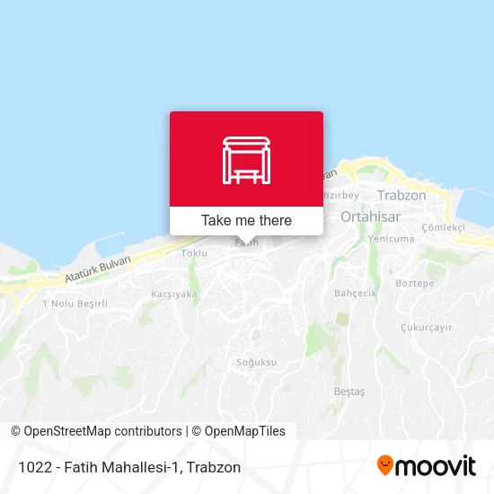 1022 - Fatih Mahallesi-1 map