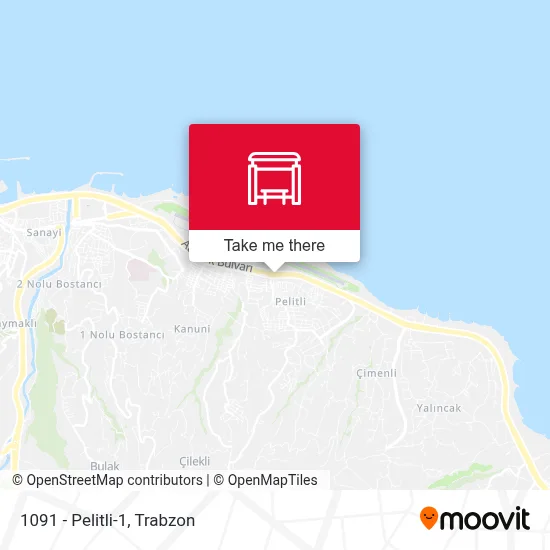 1091 - Pelitli-1 map