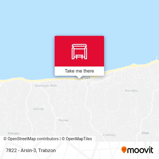 7822 - Arsin-3 map