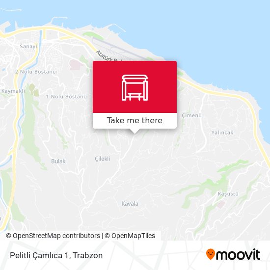 Pelitli Çamlıca 1 map