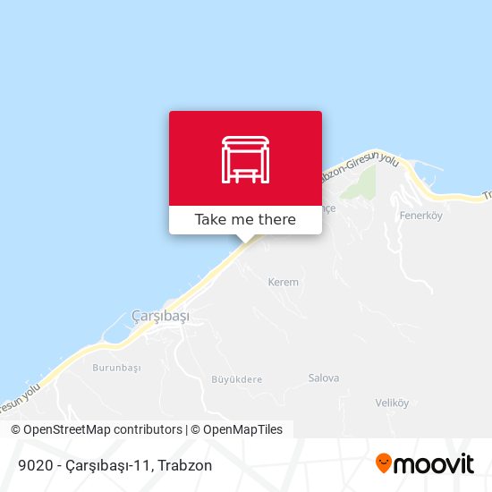 9020 - Çarşıbaşı-11 map