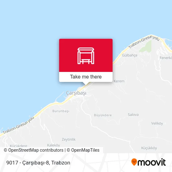 9017 - Çarşıbaşı-8 map