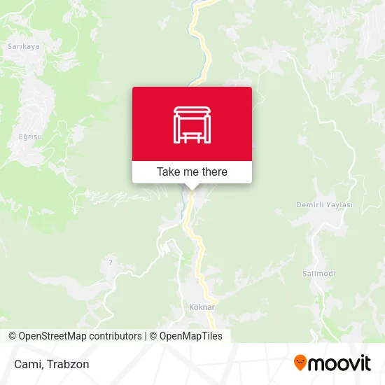 Cami map