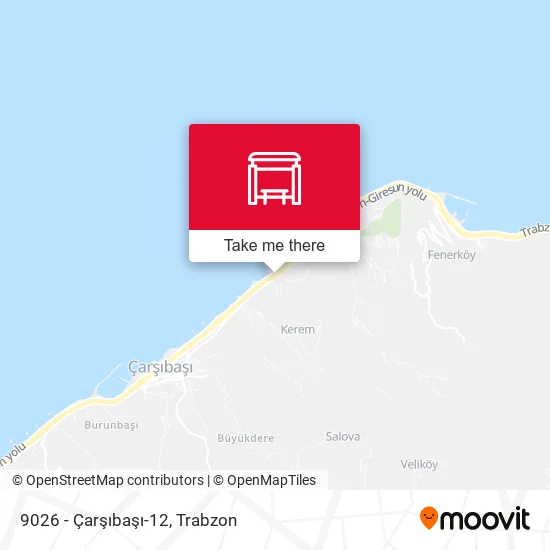 9026 - Çarşıbaşı-12 map