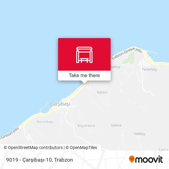 9019 - Çarşıbaşı-10 map