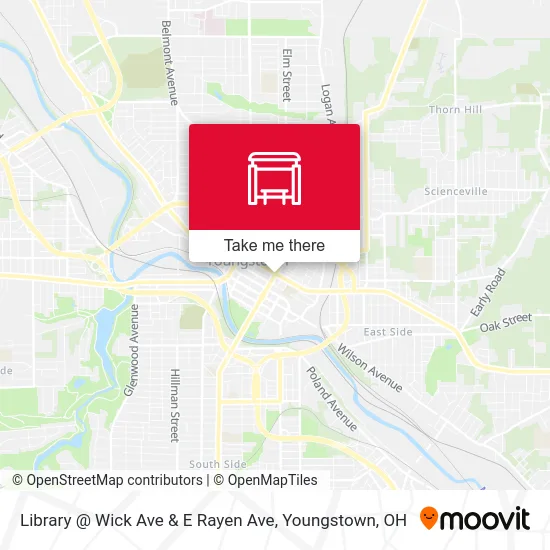 Library @ Wick Ave & E Rayen Ave map