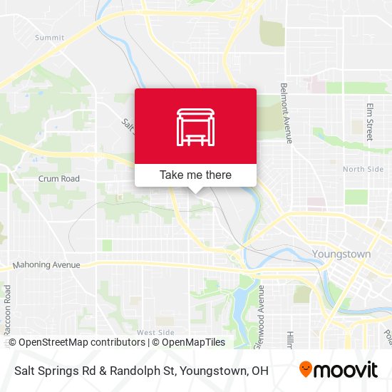 Salt Springs Rd & Randolph St map