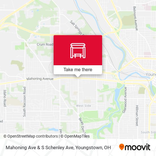 Mapa de Mahoning Ave & S Schenley Ave