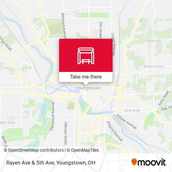 Rayen Ave & 5th Ave map