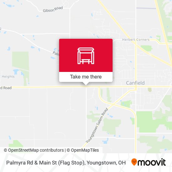 Mapa de Palmyra Rd & Main St (Flag Stop)