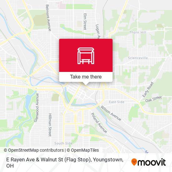E Rayen Ave & Walnut St (Flag Stop) map