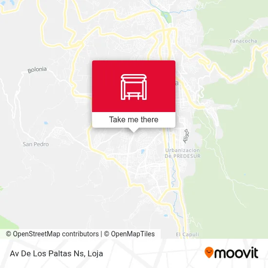 Av De Los Paltas Ns map