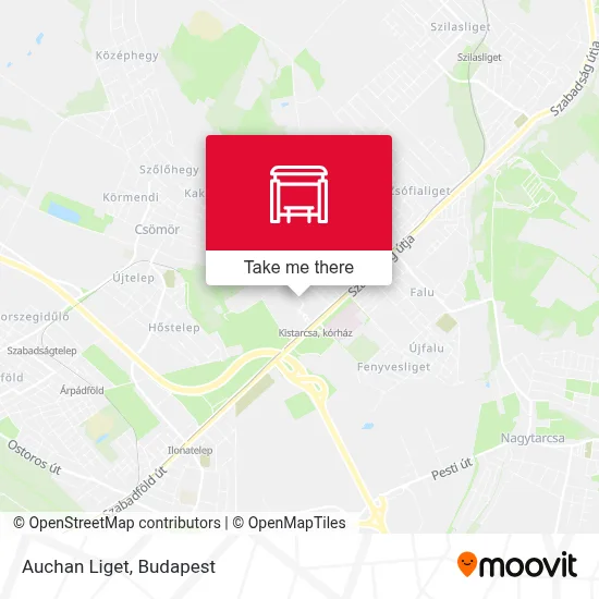 Auchan Liget map