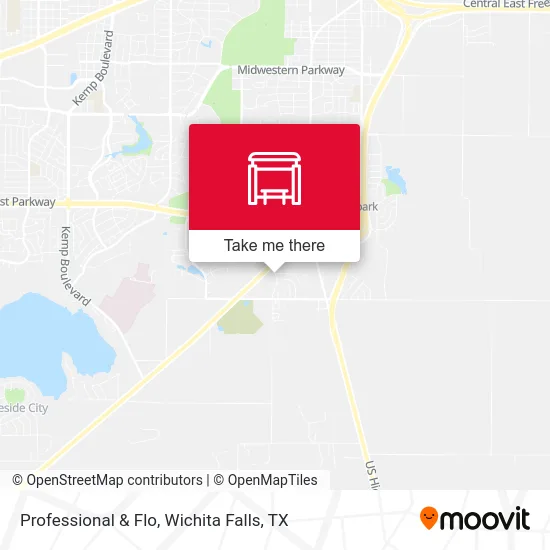 Professional & Flo map