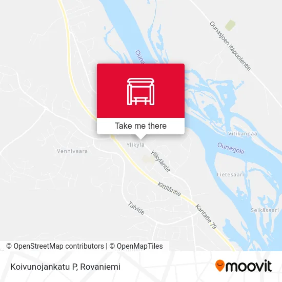 Koivunojankatu P map