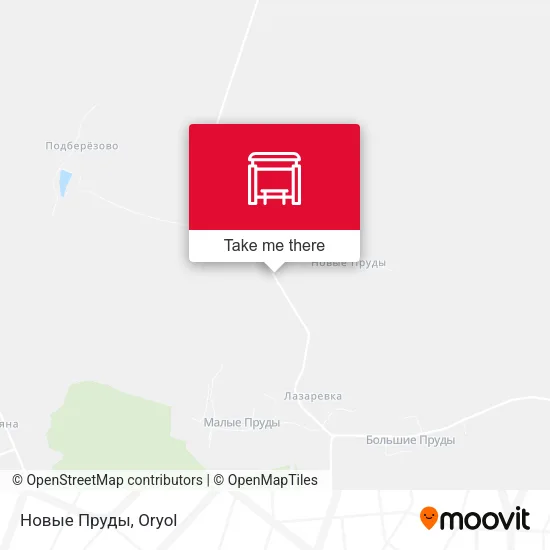 Новые Пруды map