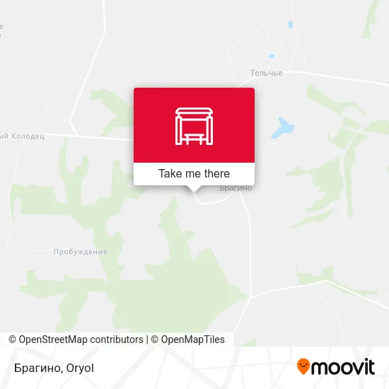 Брагино map