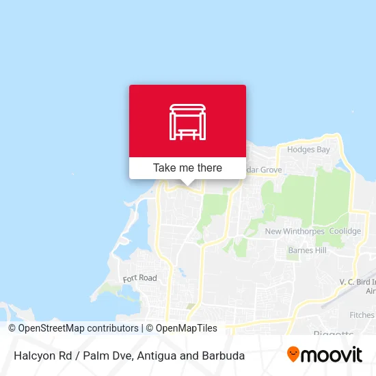 Halcyon Rd / Palm Dve map