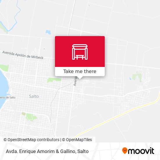 Avda. Enrique Amorim & Gallino map