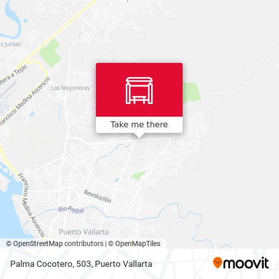 Mapa de Palma Cocotero, 503