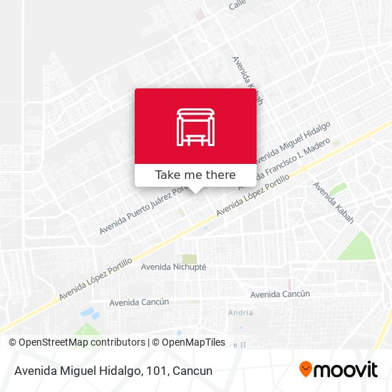 Avenida Miguel Hidalgo, 101 map