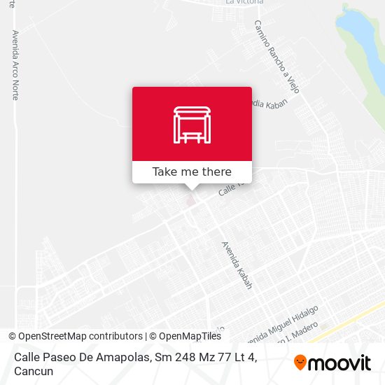 Mapa de Calle Paseo De Amapolas, Sm 248 Mz 77 Lt 4