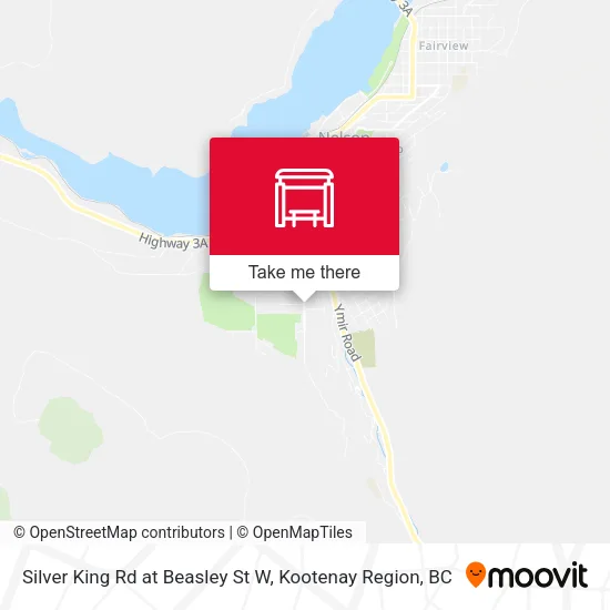 Silver King Rd at Beasley St W map