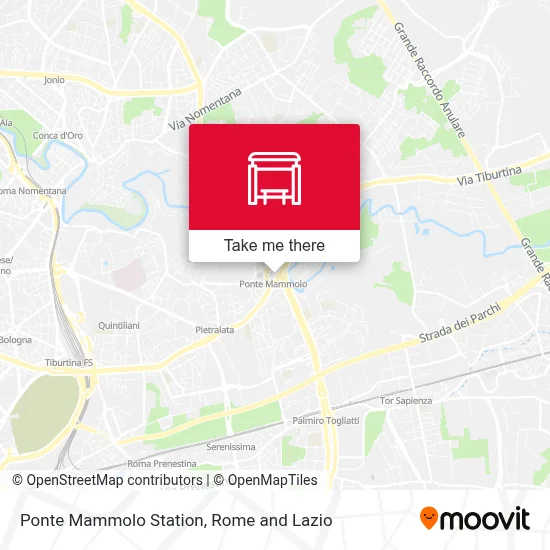 Ponte Mammolo Station map