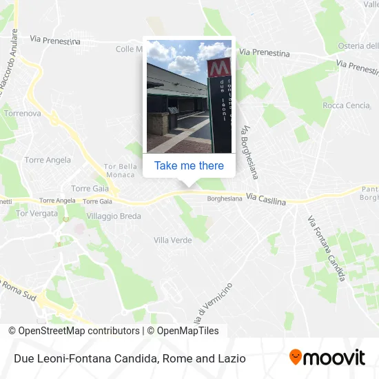 Due Leoni-Fontana Candida map