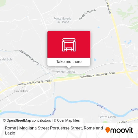 Rome | Magliana Street Portuense Street map