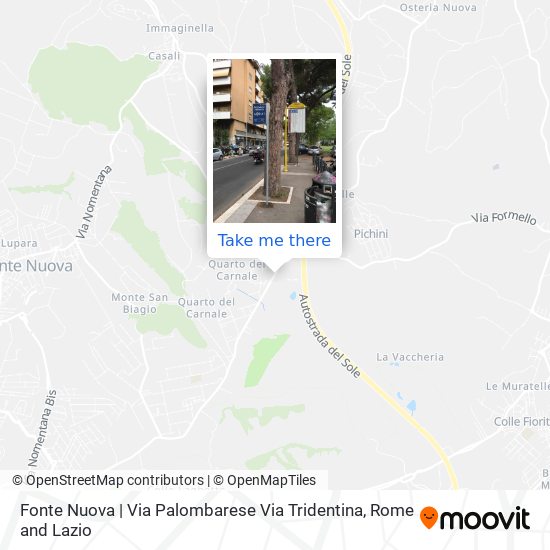 Fonte Nuova | Via Palombarese Via Tridentina map