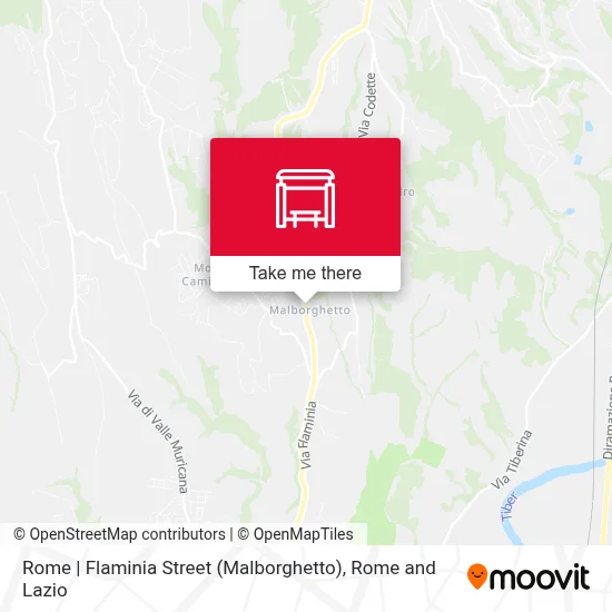 Rome | Flaminia Street (Malborghetto) map