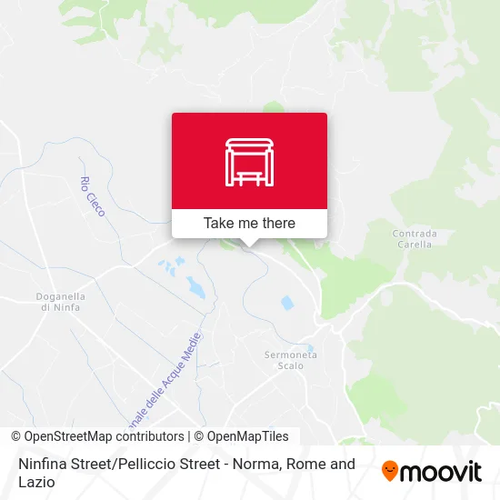 Ninfina Street / Pelliccio Street - Norma map