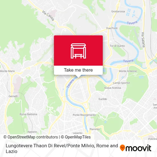 Lungotevere Thaon Di Revel / Ponte Milvio map